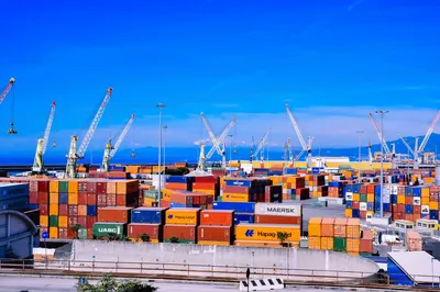 Understanding Supply Chain Impact on Net Zero Costs