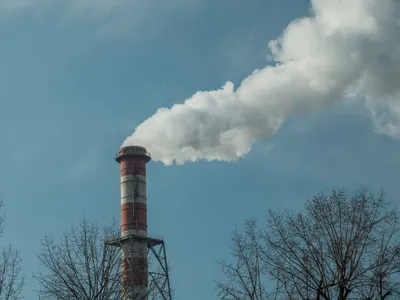 Methane abatement and carbon removal strategies for UK businesses