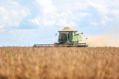 Standardising Sustainability in the Global Soy Sector