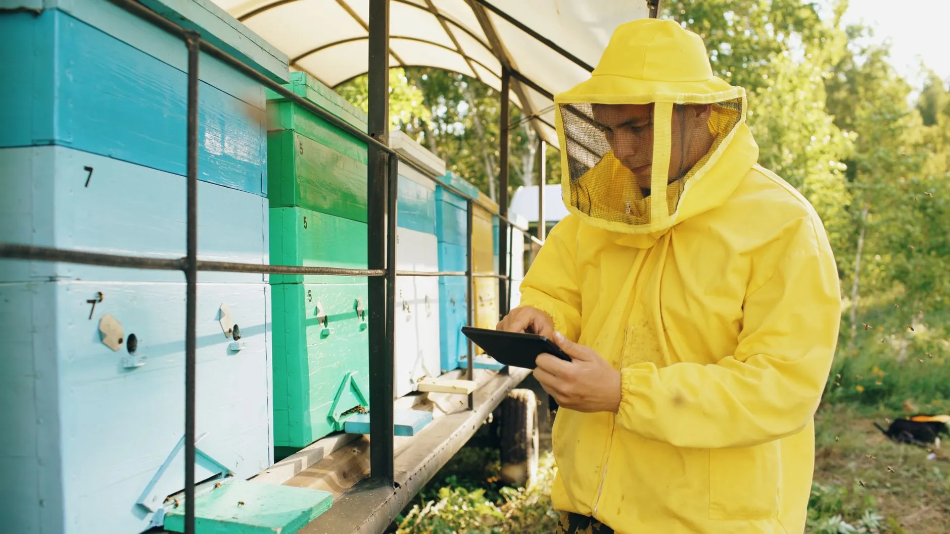 Henkel and Capgemini Automate Carbon Footprint Calculations for 50,000 Products