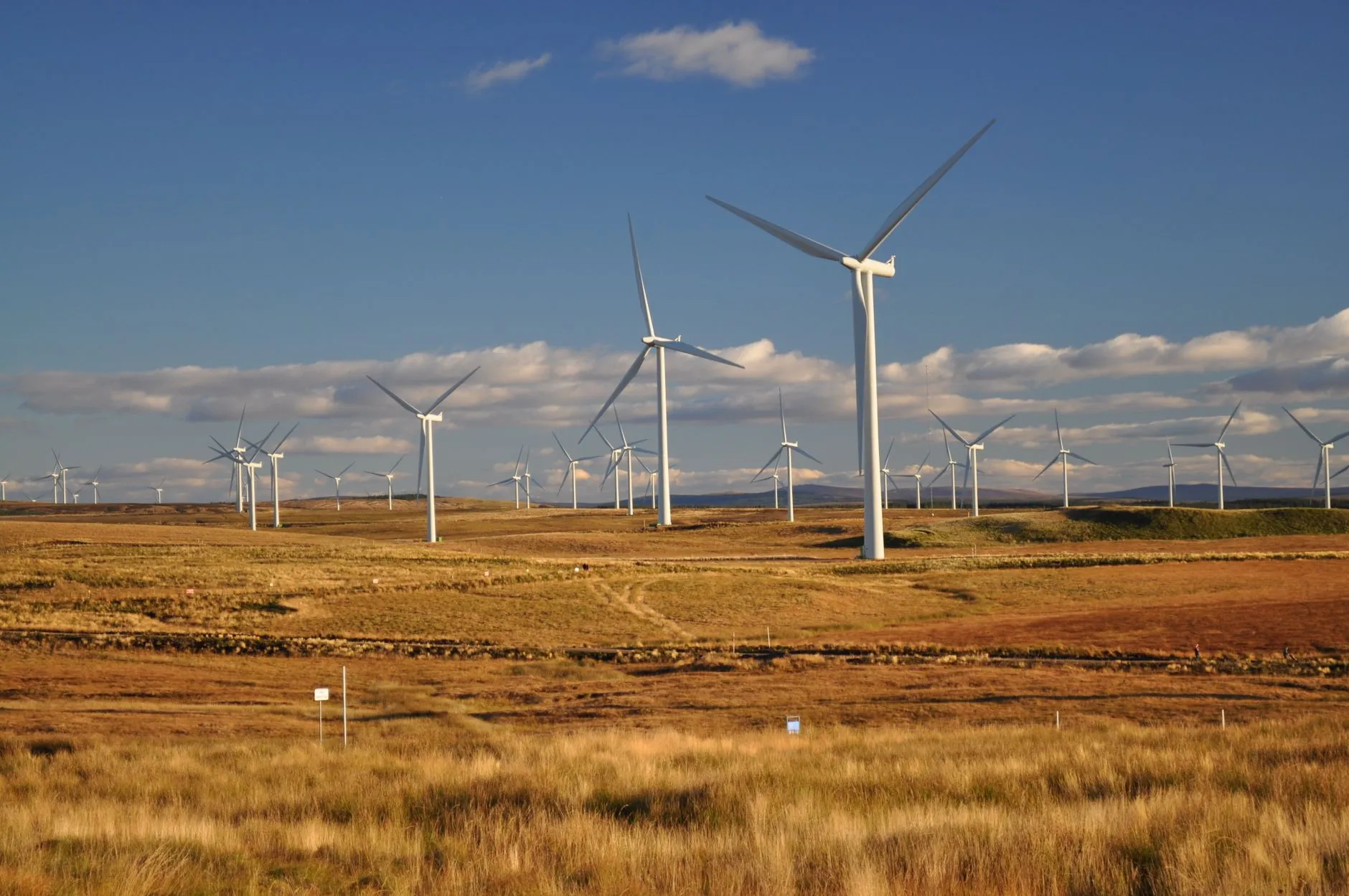 Green Party Calls for Clean Energy Revolution
